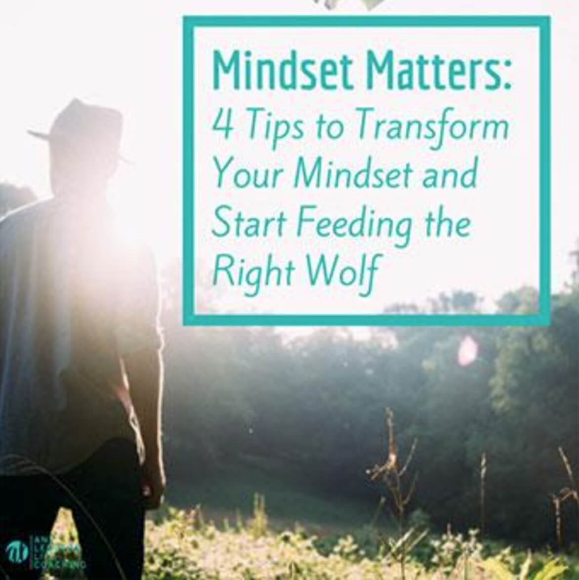 Mindset matters: 4 tips to transform and start feeding the right wolf