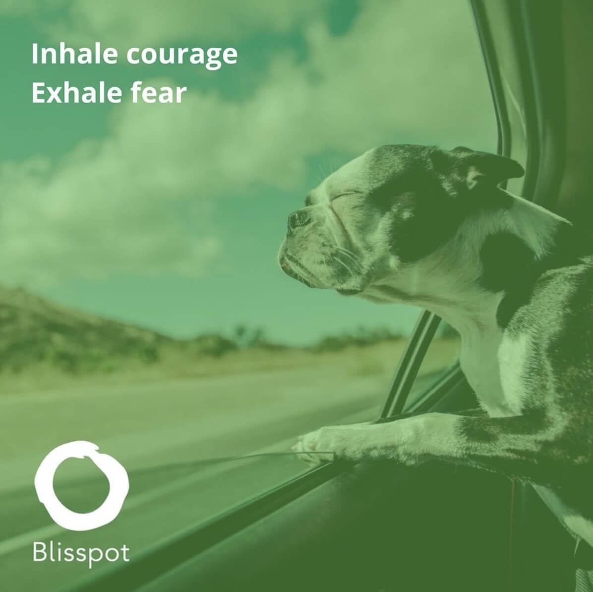 Inhale courage. Exhale fear.