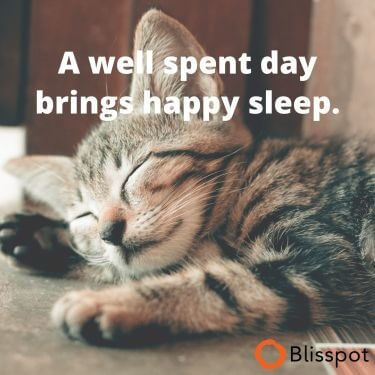 A well spent day brings happy sleep.