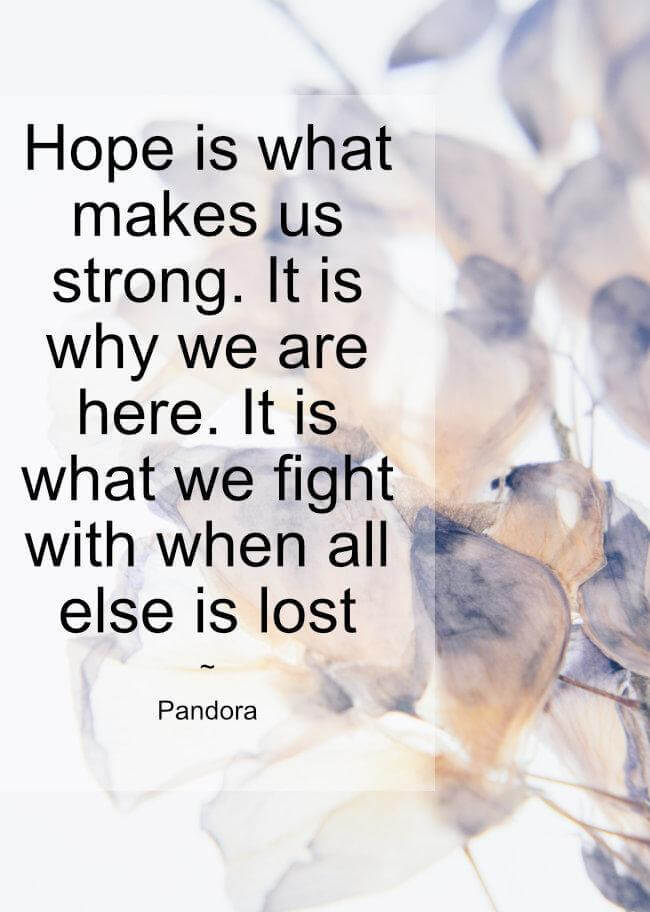 Hope is what makes us strong. It is why we are here. It is what we fight with when all else is lost.