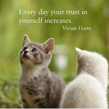 Every day your trust in yourself increases. 