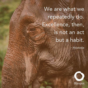 We are what we repeatedly do. Excellence, then, is not an act but a habit.