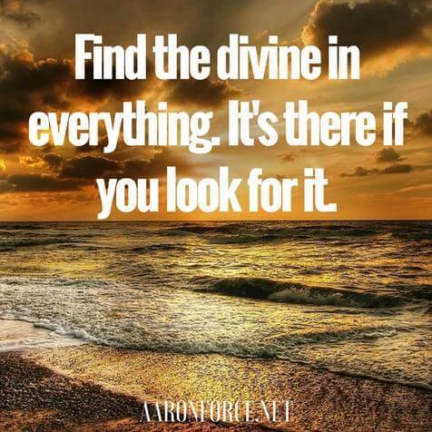 Find the divine in everything. It's there if you look for it.