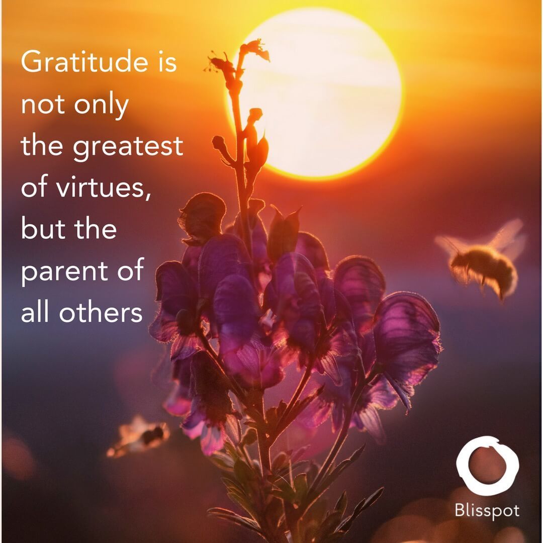 Gratitude is not only the greatest of virtues, but the parent of all others.