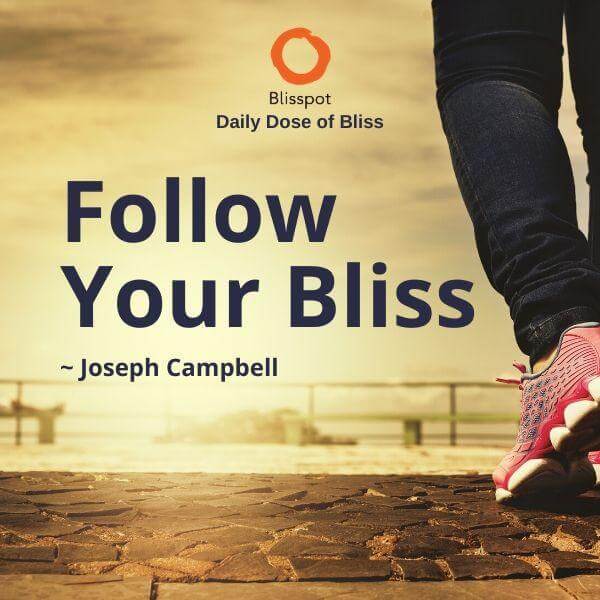 Follow your bliss.