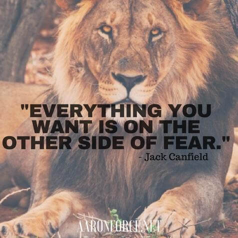 Everything you want is on the other side of fear