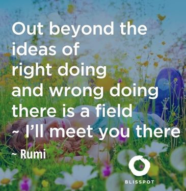 Out beyond the ideas of right doing and wrong doing there is a field - I'll meet you there