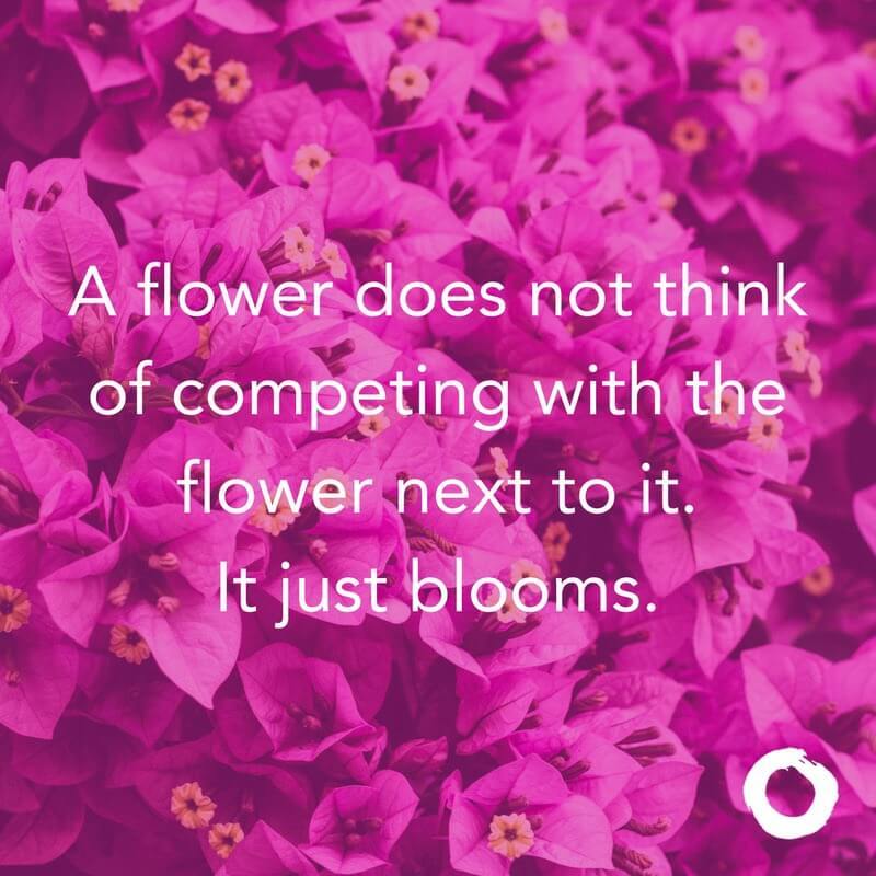 A flower does not think of competing with the flower next to it. It just blooms.